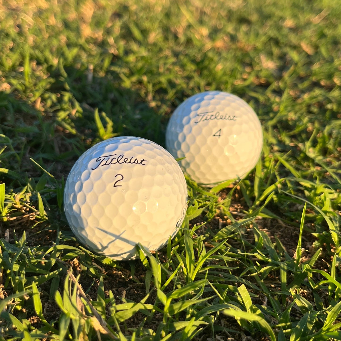 Pro V1(x) Dozen